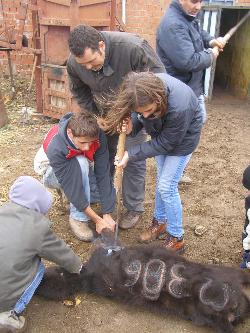 Ganadería Herranz López en Ávila